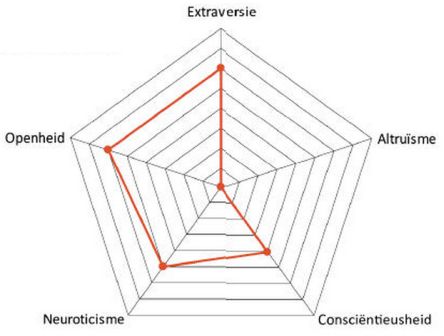 big five persoonlijkheidsmodel